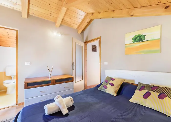 Διαμέρισμα Cozy In Novigrad With Wifi *